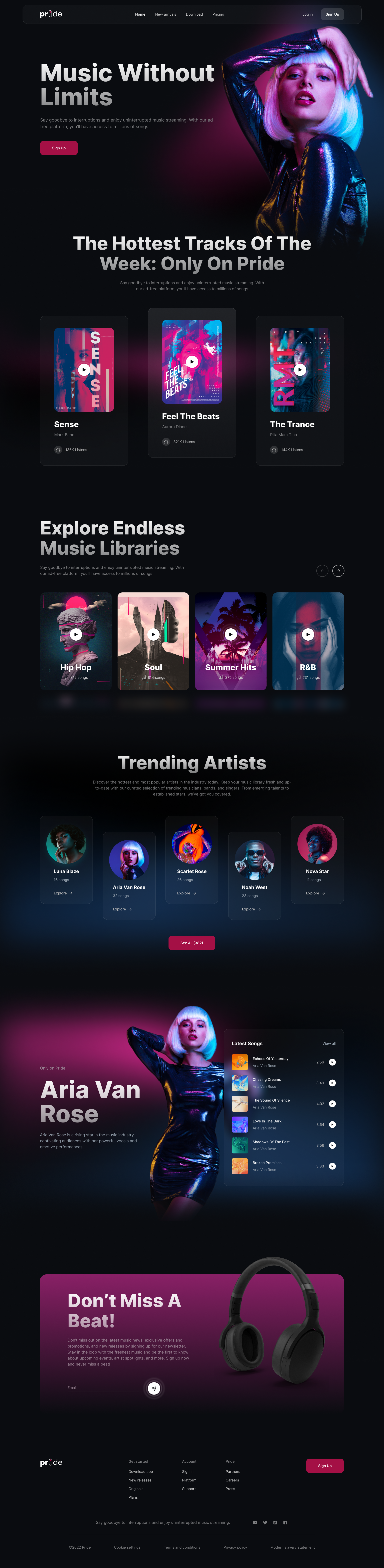 Music Streaming Website - View 1